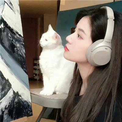 我的朋友们