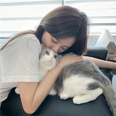海豚奇迹
